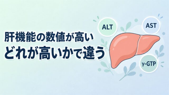 肝機能の数値が高い原因——ALT・AST・γ-GTP、どれが高いかで違う